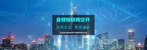 曼顿科技